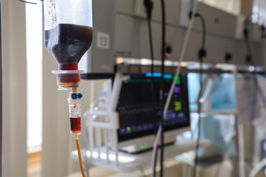    Алексей Белкин/NEWS.ru