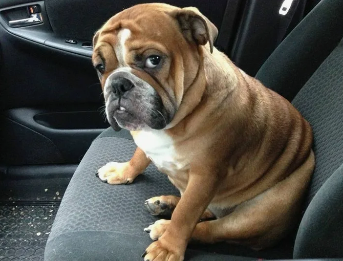 Фото с сайта pinterest.com