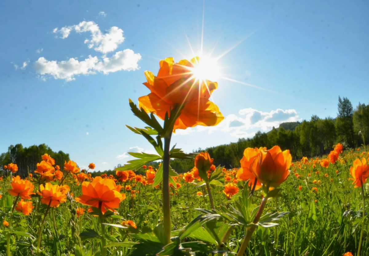 Источник фото: stihi.ru