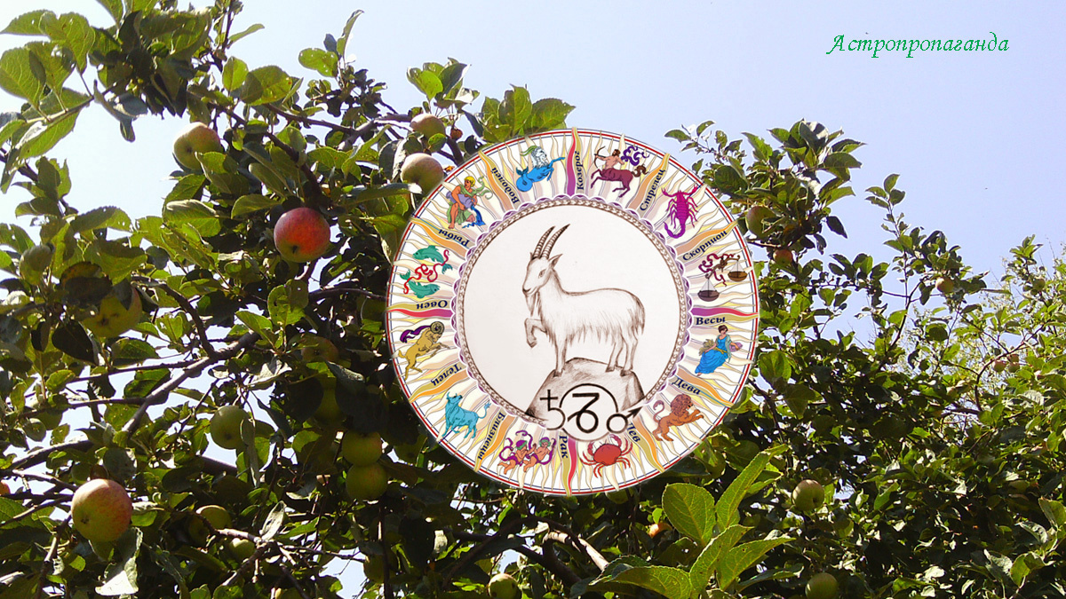 Гороскоп для Козерога с 4 по 31 августа 2025.