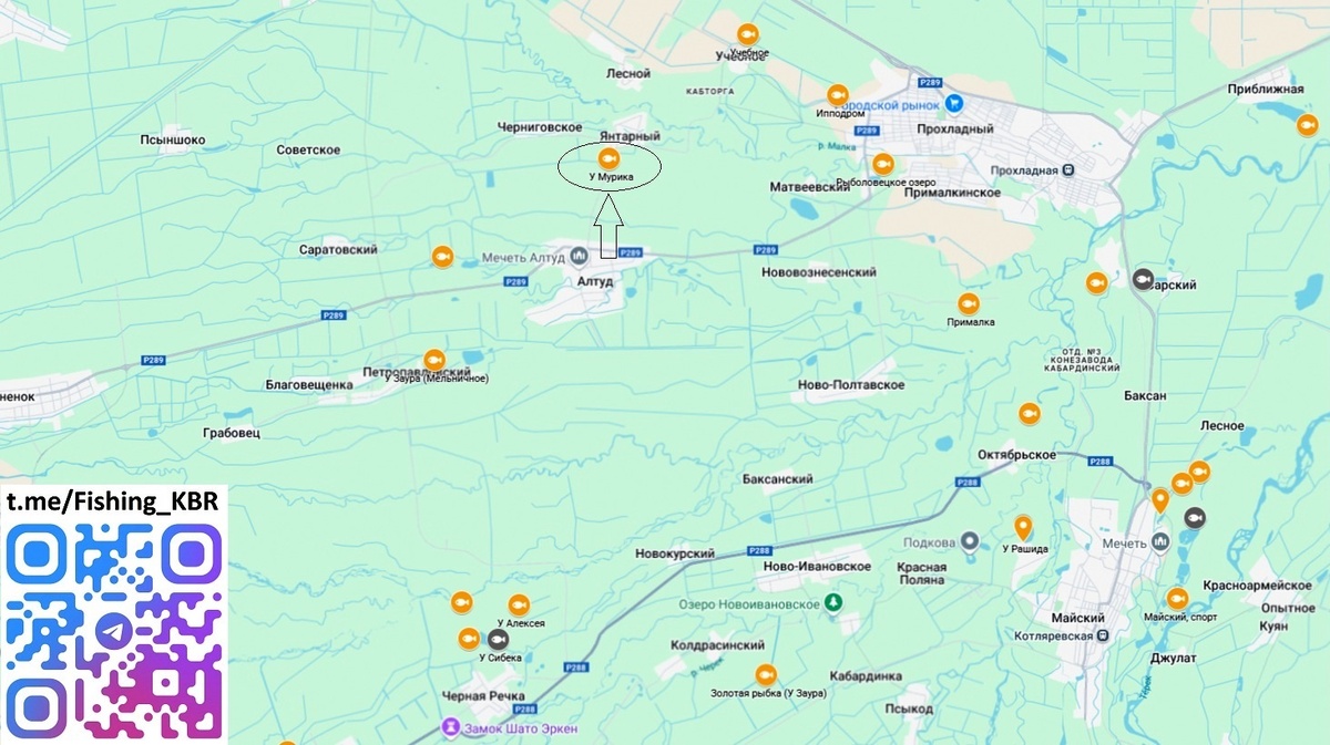 Платная рыбалка У МУРИКА