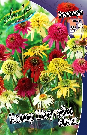 Картинка от Колорлайна 