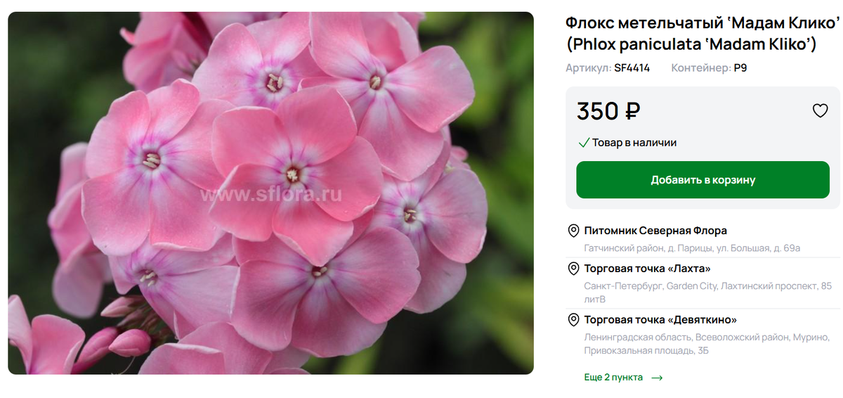 https://sflora.ru/