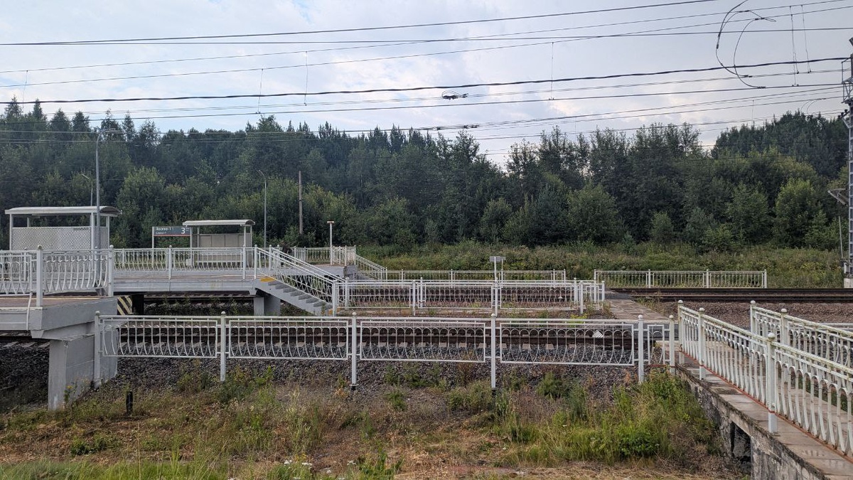 Станция Лосево-1