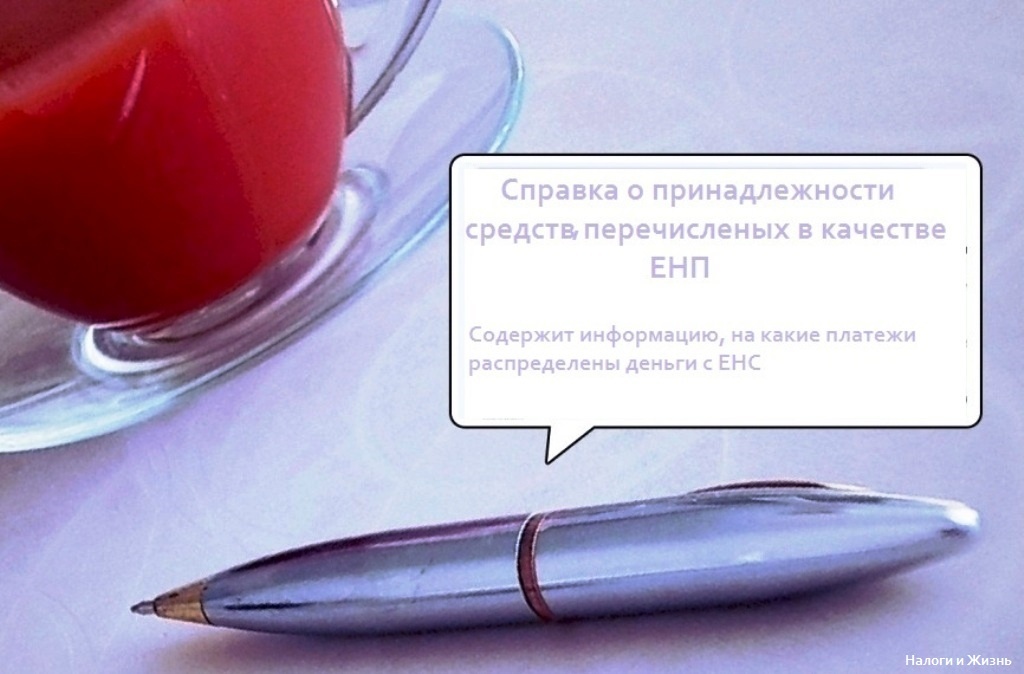 Как читать справку о распределении средств, перечисленных в качестве ЕНП, простому пользователю.