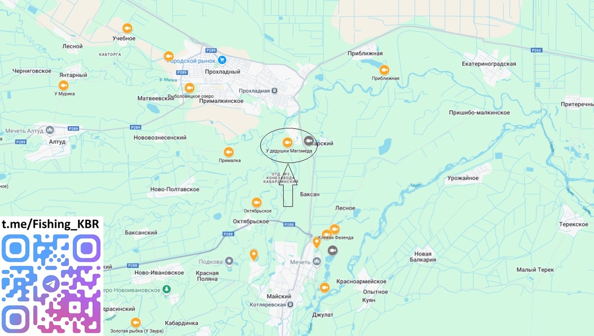 Платная рыбалка водоем У ДЕДУШКИ МАГОМЕДА