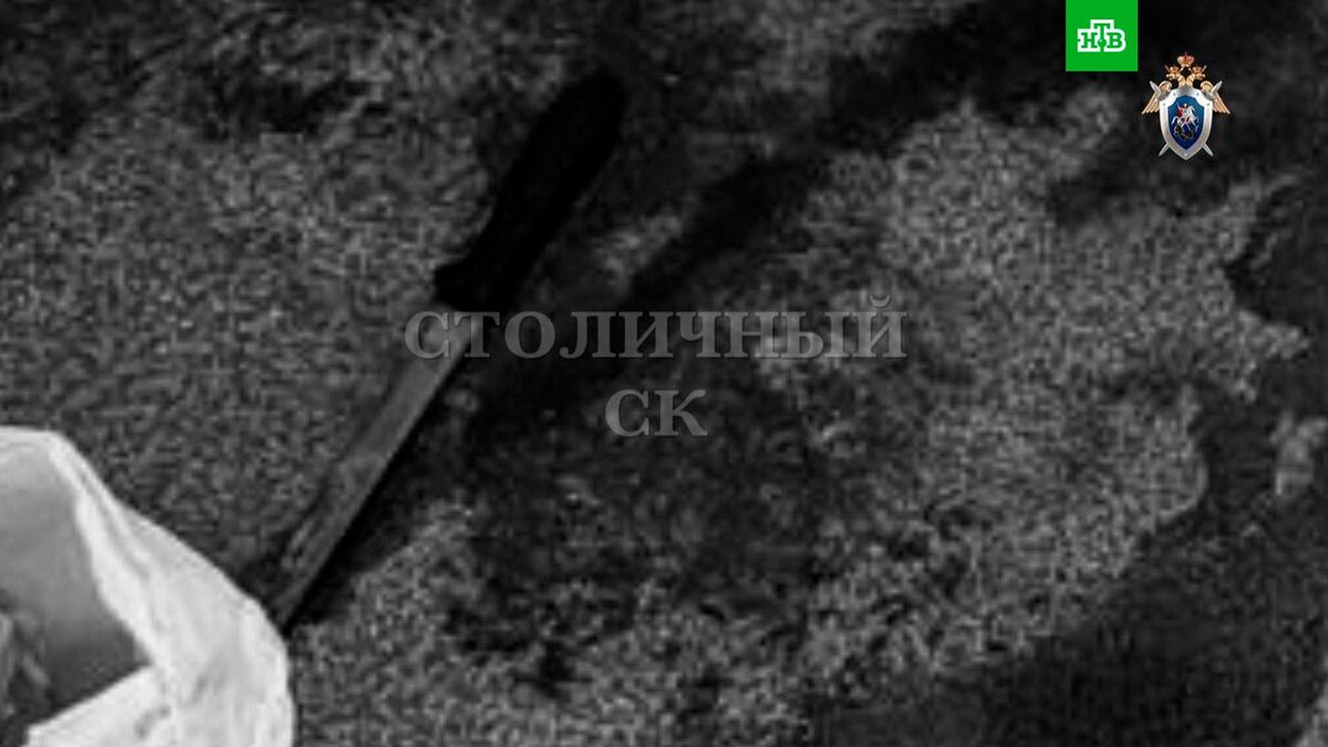    Фото: skmoscowgsu / t.me