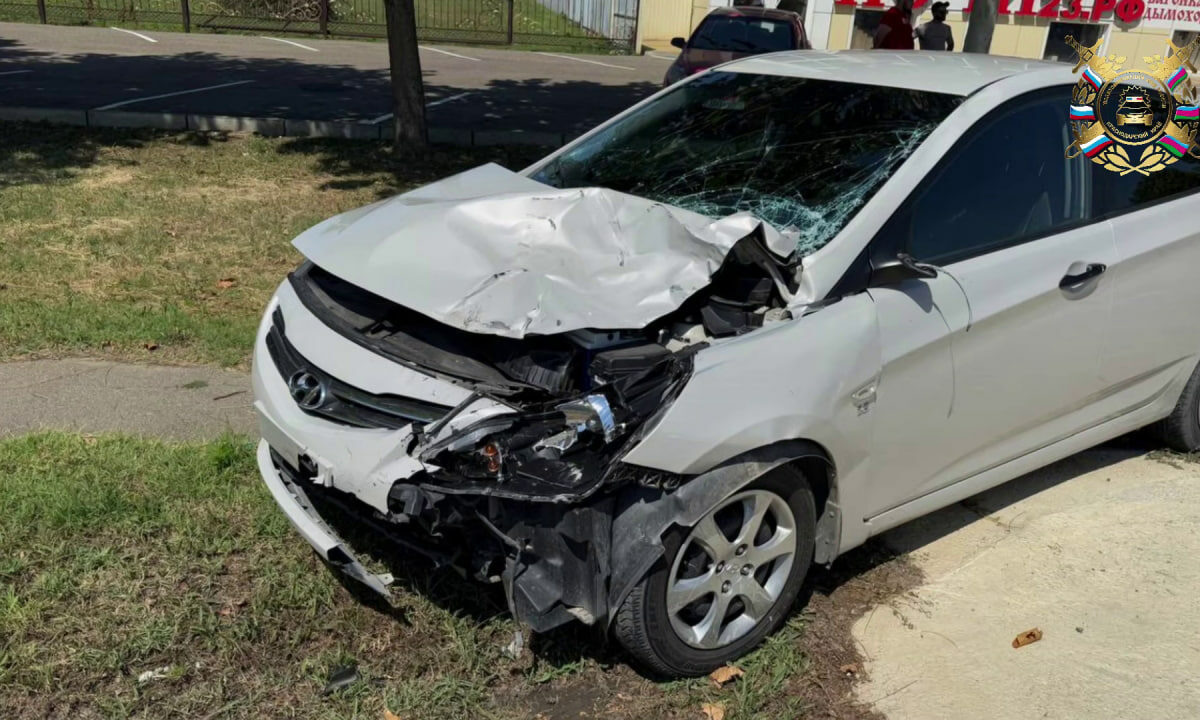    Фото t.me/gibdd123region