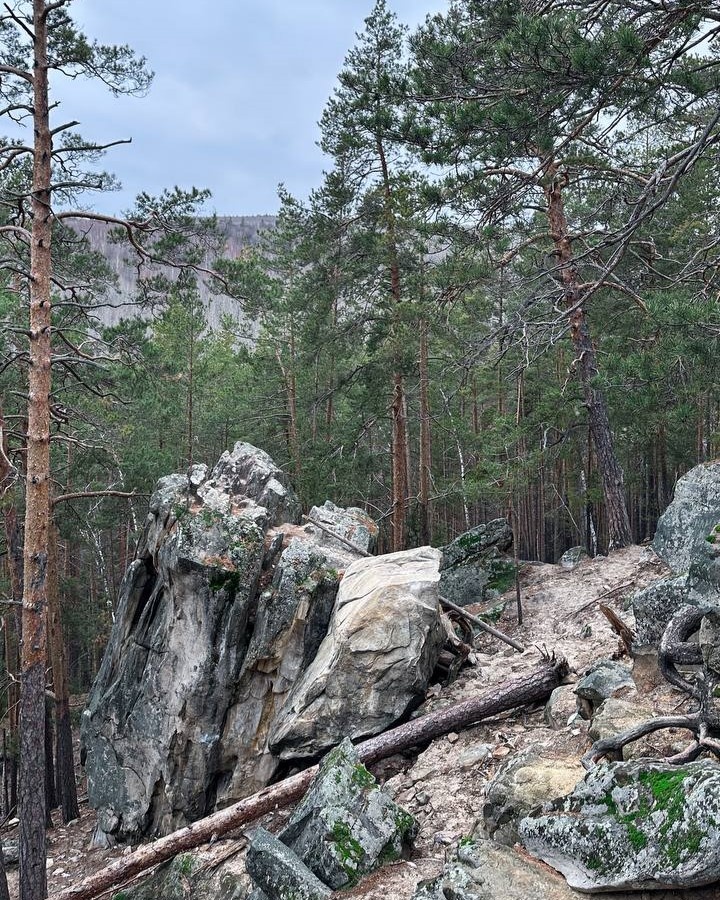 Видовая площака на поляне колдунов  