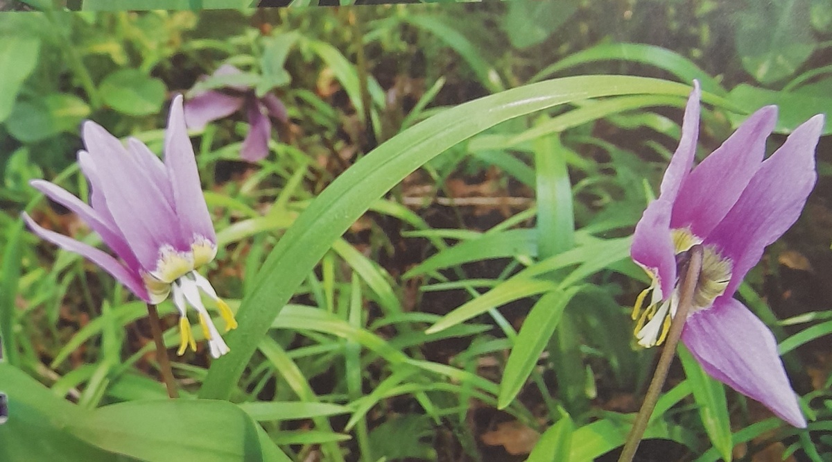 Фото автора канала