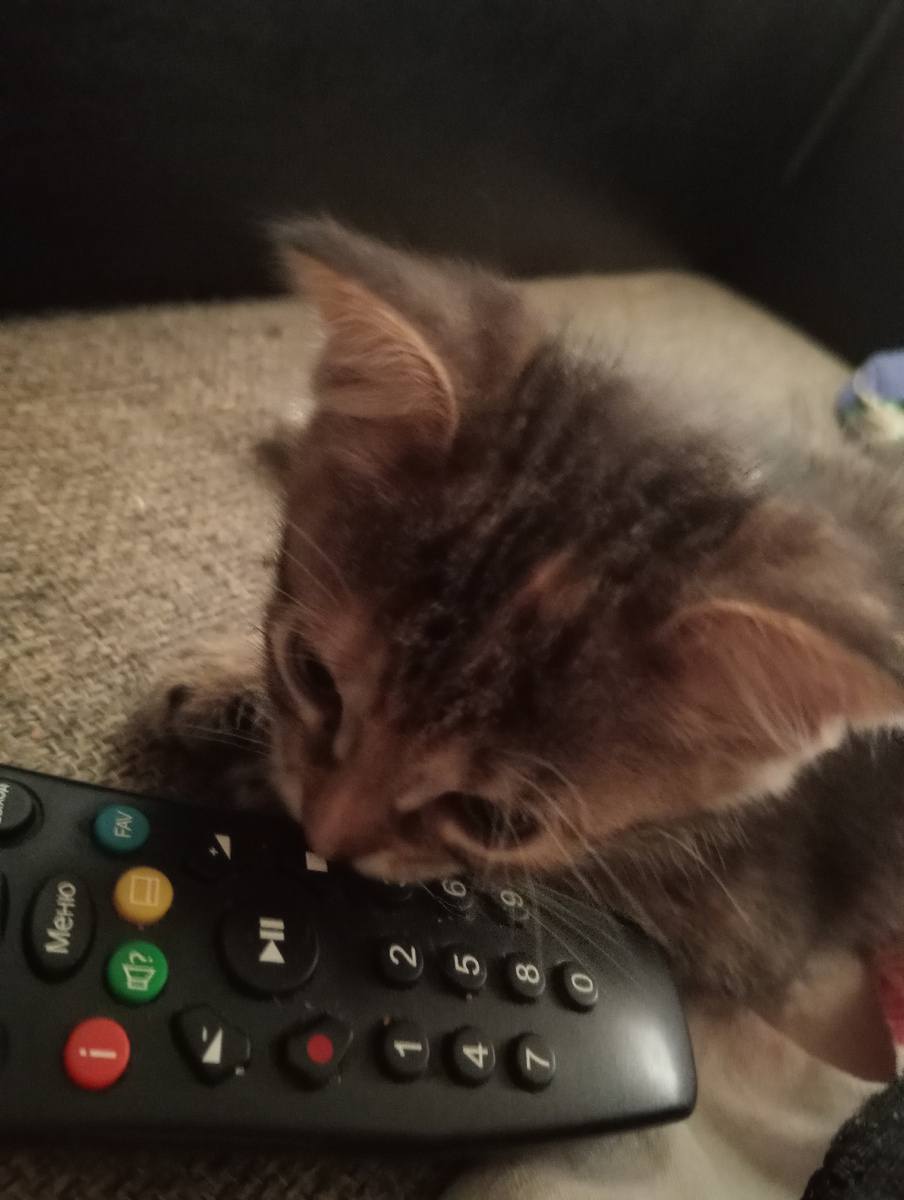 Может на мультики переключим?!