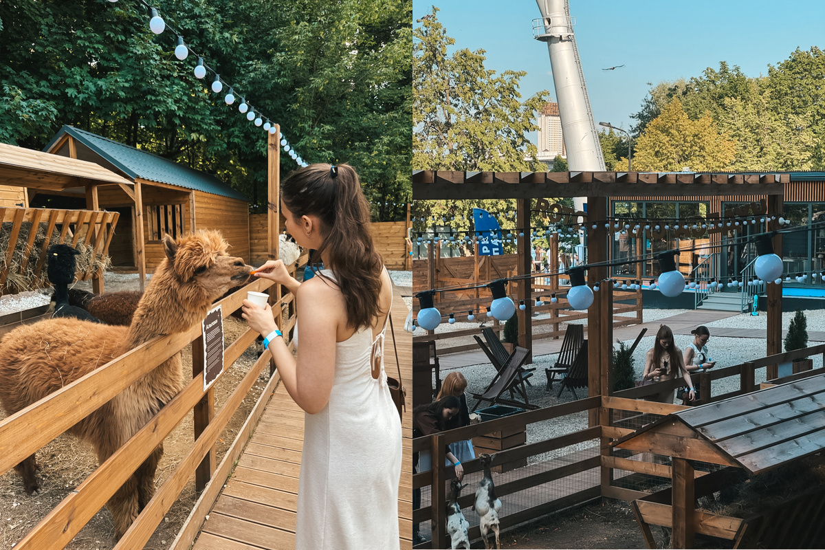 Парк с милыми животными в Москве 