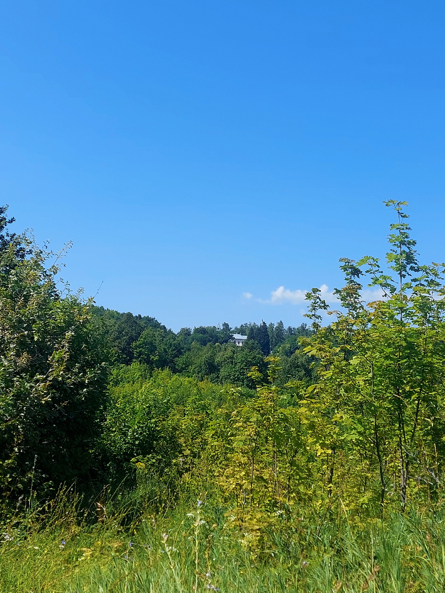 вдалеке видно главный дом усадьбы с "кроличьей" поляны