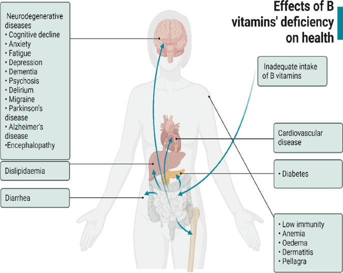 Схема влияния витаминов группы В на рискир различных заболеваний.