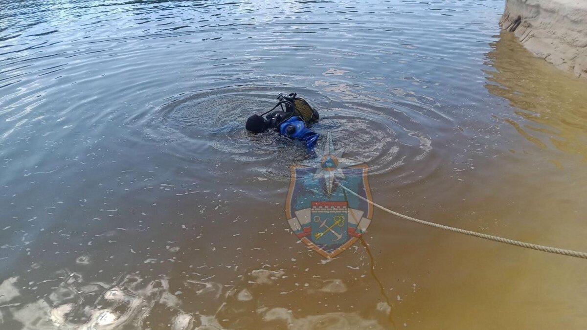    Фото: t.me/acclenobl