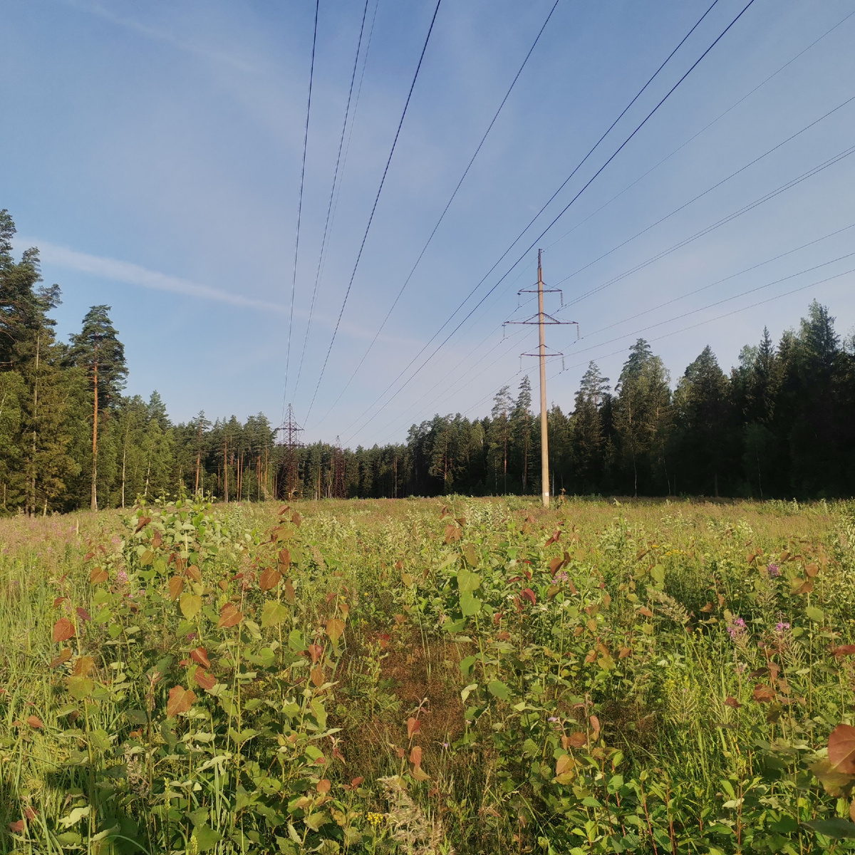 недалеко от села Филлиповского