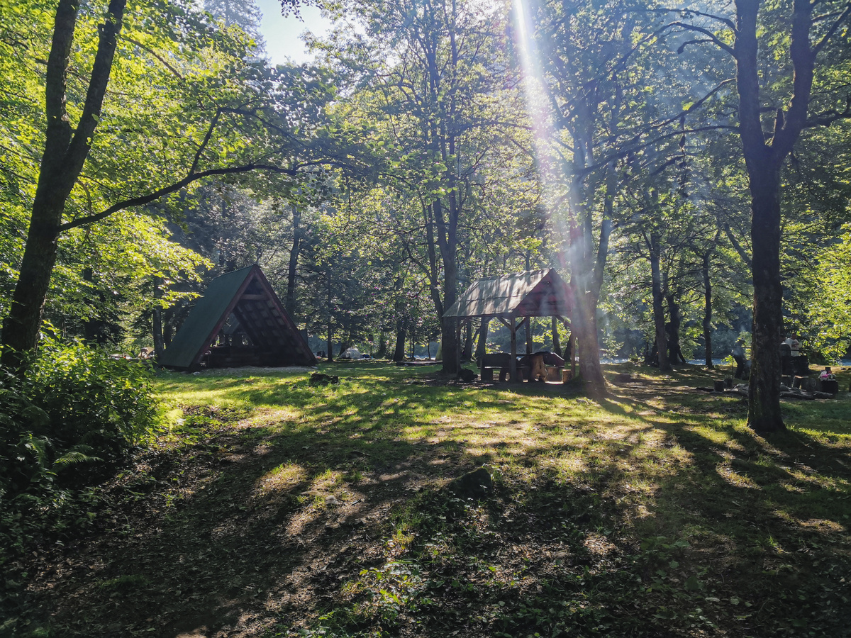 Стоянка "У пьяной ели"