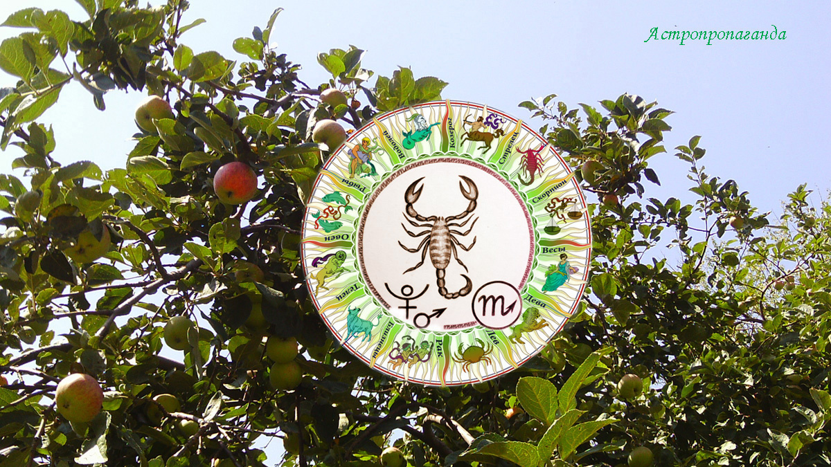 Гороскоп для Скорпиона с 4 по 31 августа 2025.