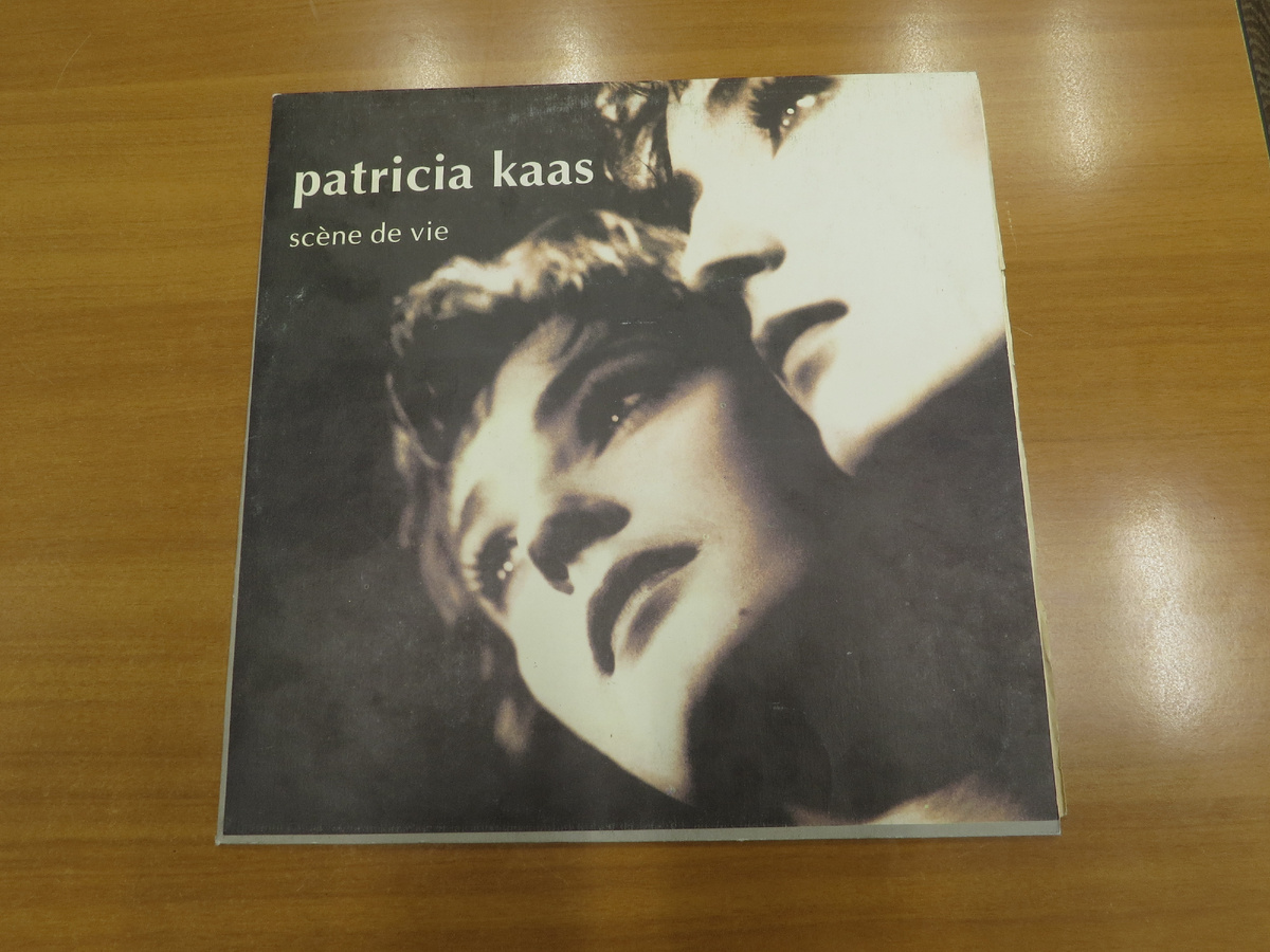 Пластинка, о которой идет речь.