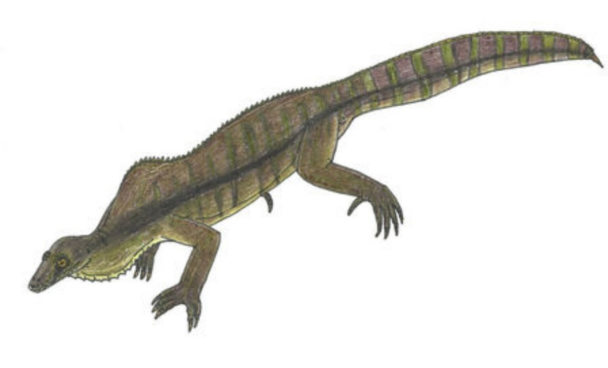 Иллюстрация долаброзавра.