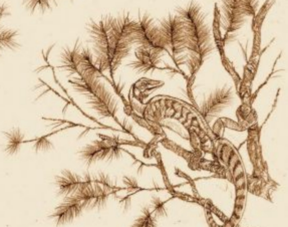 Долаброзавр на дереве.