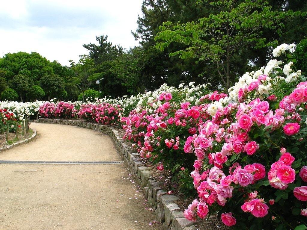 Дорожка в детство. 