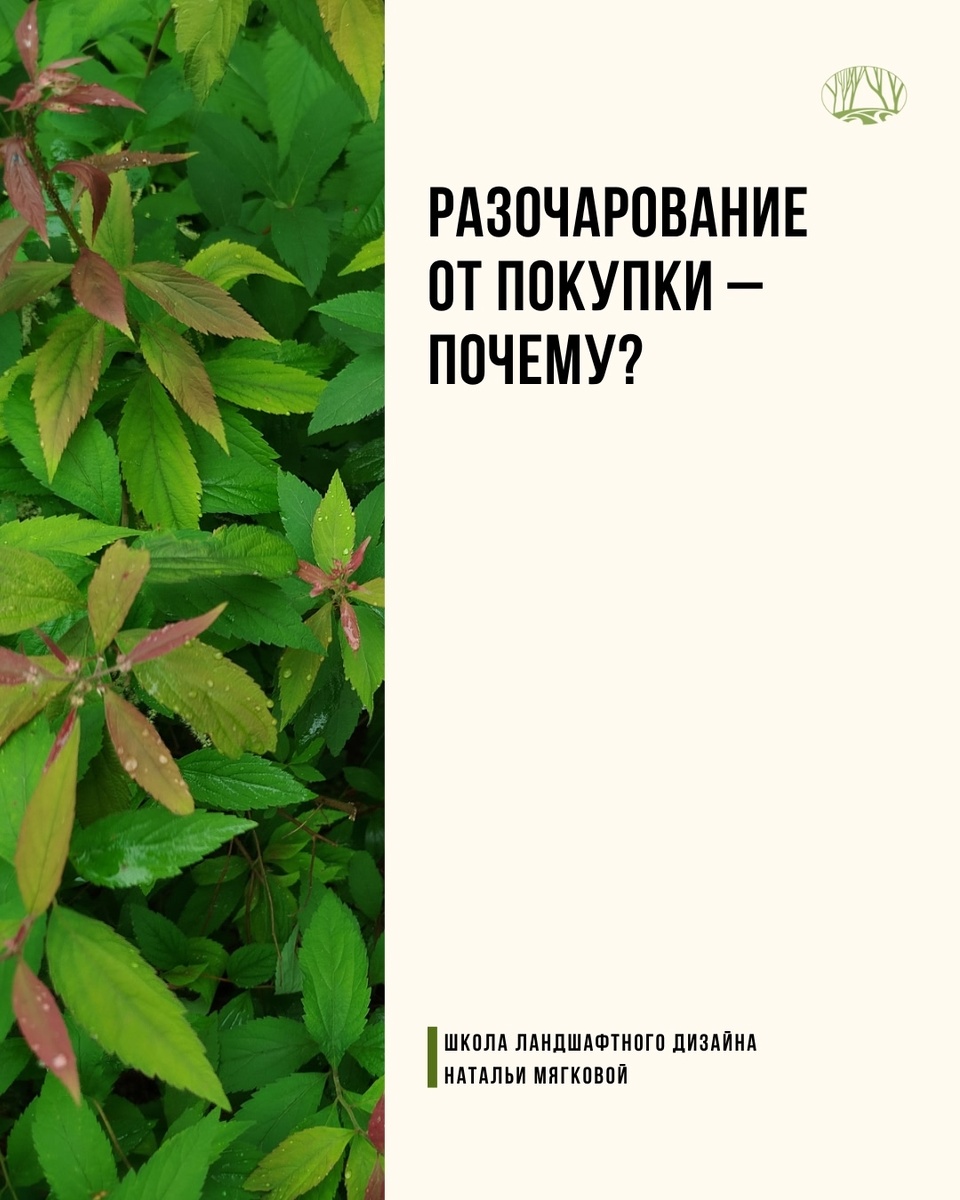 Листайте галерею по стрелке вправо 