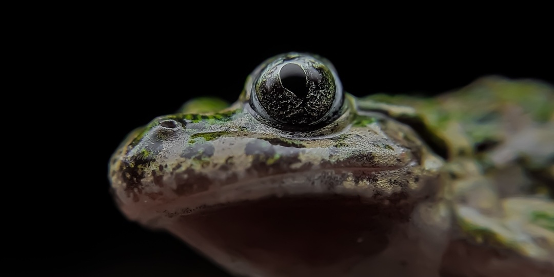 Что вы знаете о крестовках? Часть 2