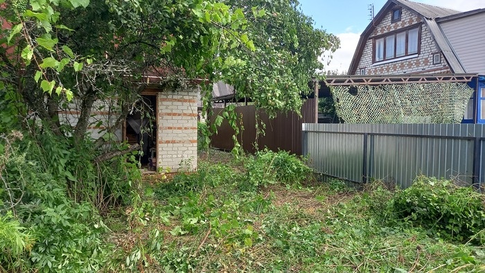 Листайте вправо, чтобы увидеть больше изображений