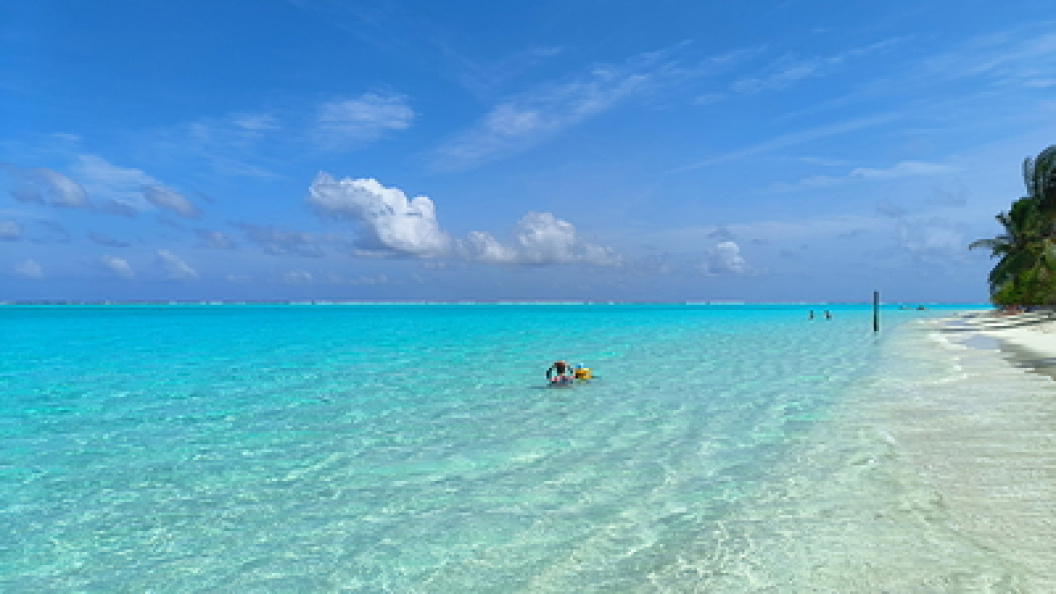    Maksim Konstantinov/Globallookpress