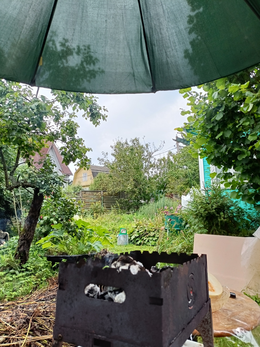 Мангал, зонт и дождь. Дождь не видно, но он там есть. 