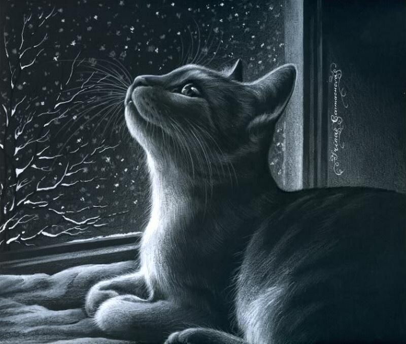 Рисунок из открытых источников