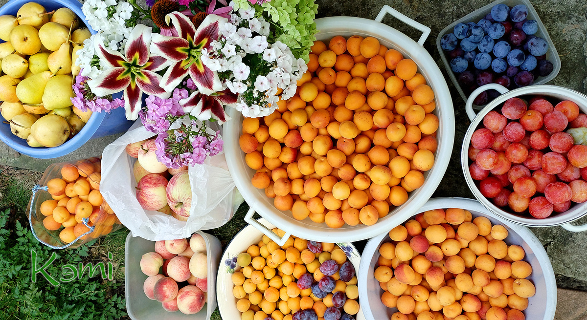 И так каждые три дня...