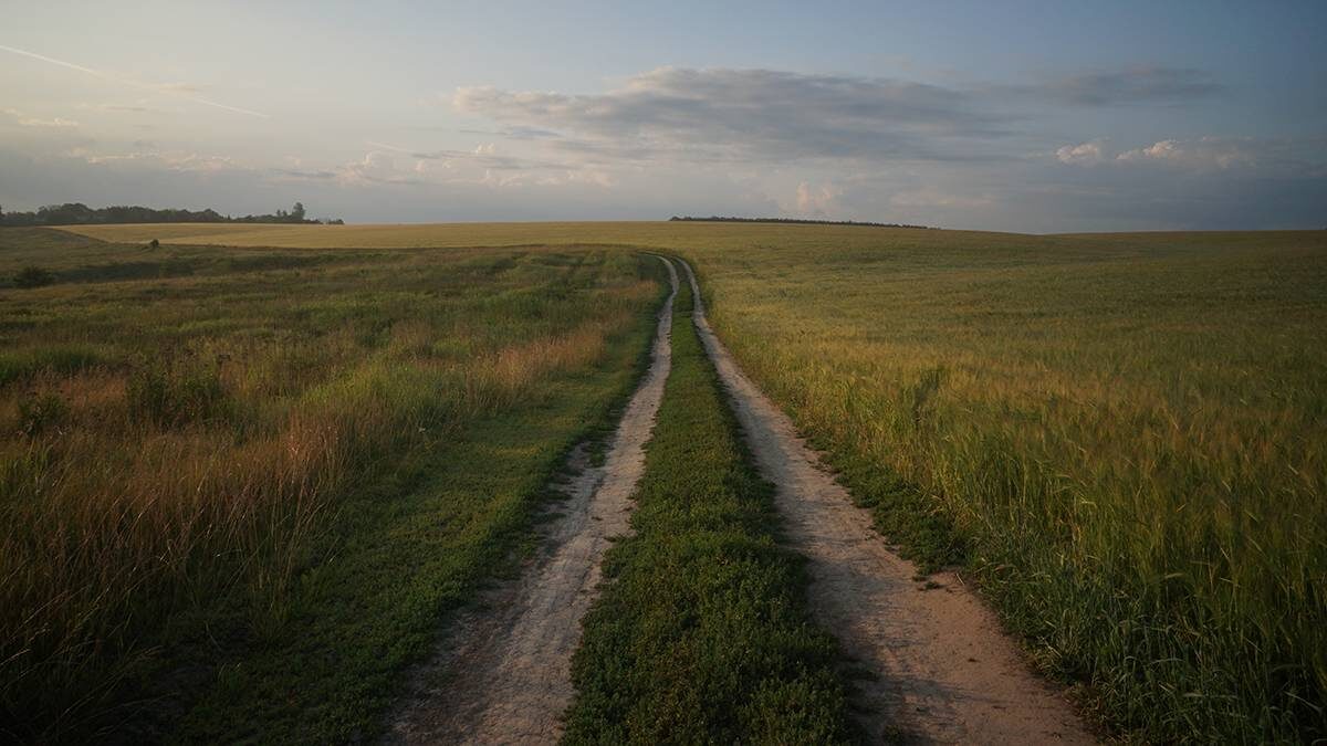    Фото: Анатолий Цымбалюк / Вечерняя Москва