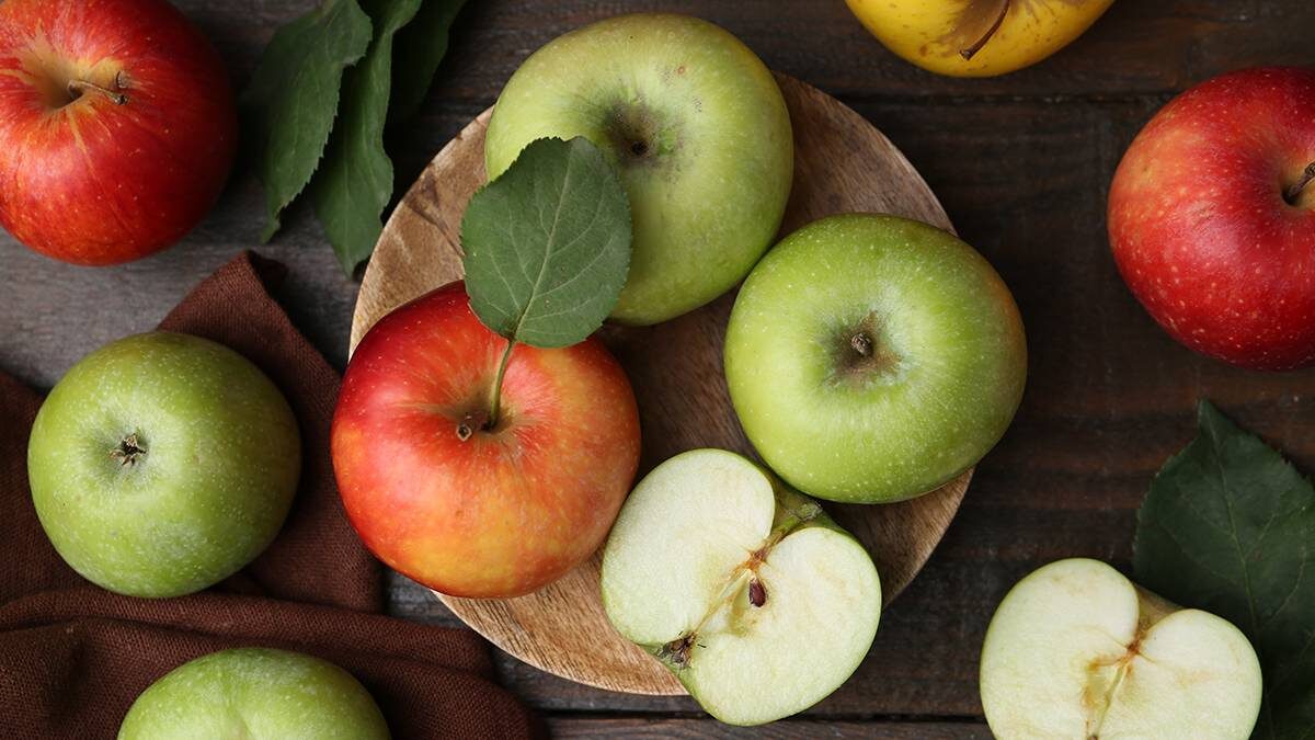    Фото: Shutterstock