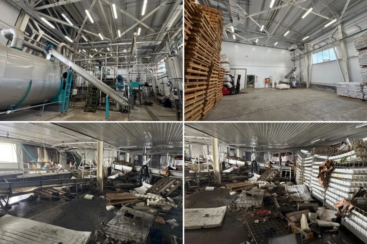    Рыбоперерабатывающий завод до и после цунами на Курилах.