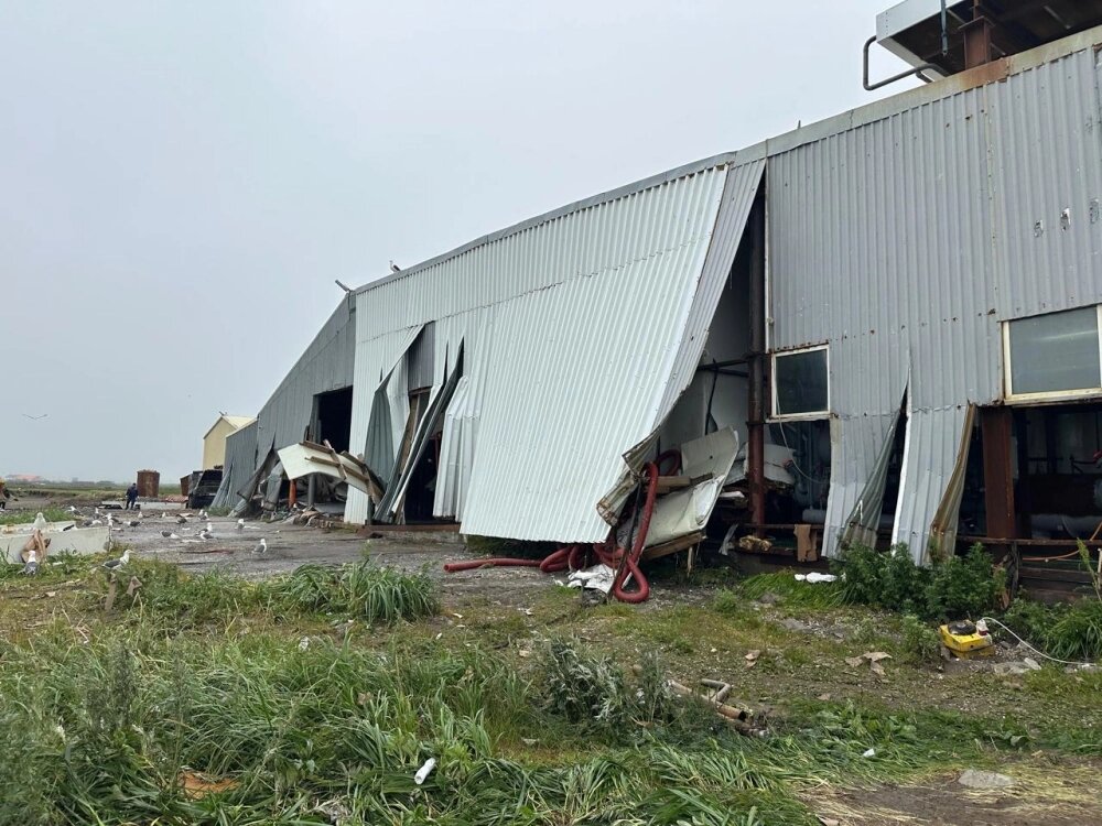    Разрушенный рыбоперерабатывающий завод на Курилах. Фото: соцсети