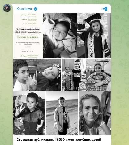   Скриншот: Telegram/Kotsnews