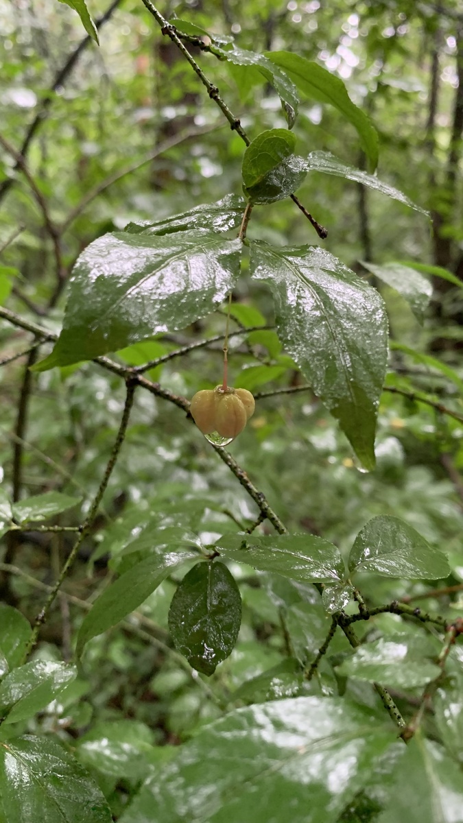 Фото автора канала 