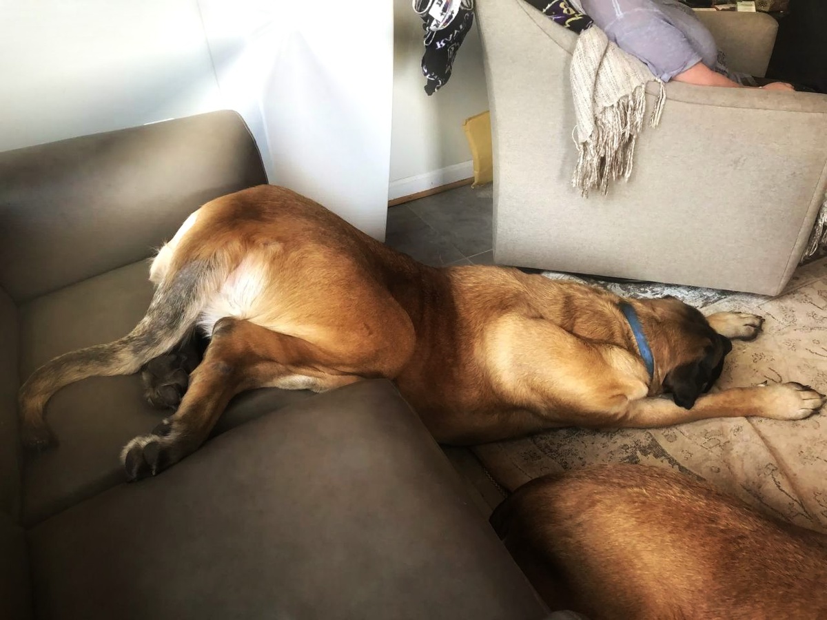 Это как если бы вам на работе сказали: “Сдай отчёт”, когда у вас температура 39, звонит кредитор, а в ухе сверлит перфоратор. Не до отчёта, согласны?
