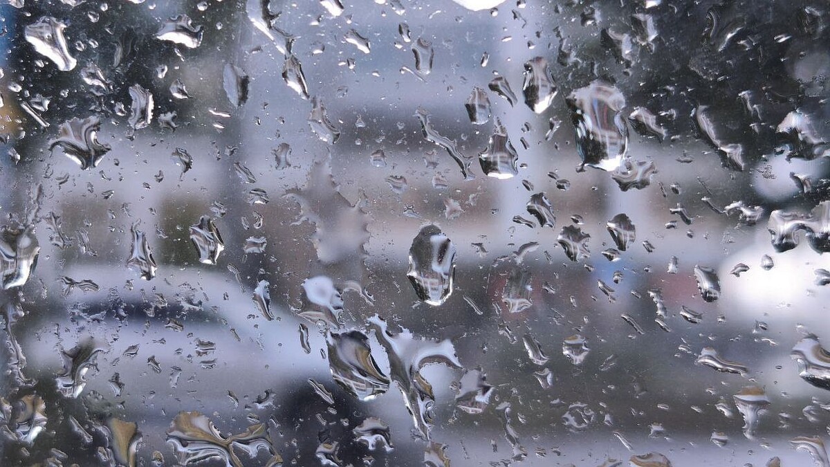    Фото: телеканал «Краснодар»