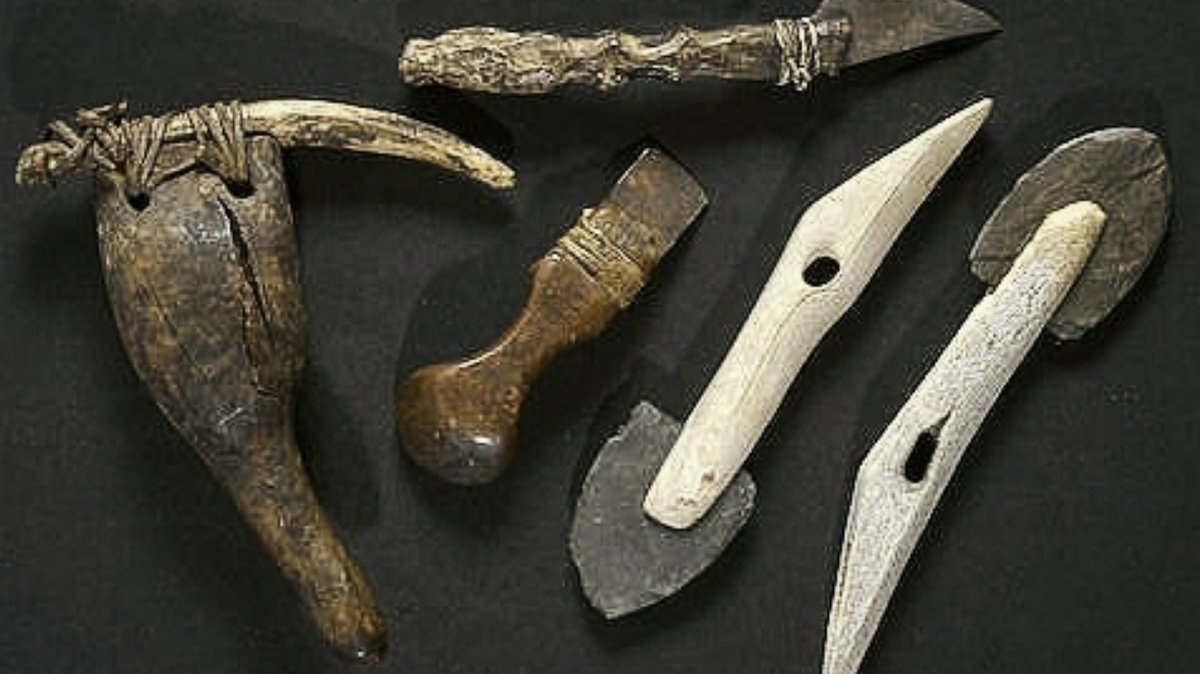 Кстати, говоря о "выдолбленном". На нашем "бревне" были обнаружены следы каких-то таких орудий, сделанных из камня и рога. Интересно, как долго у мастеров ушло на создание одной несчастной лодки...