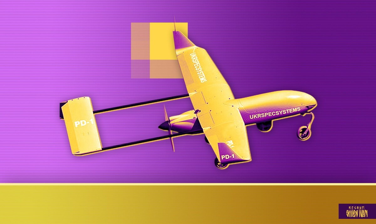    Украинский БПЛА / Источник: Иван Шилов (с) ИА REGNUM