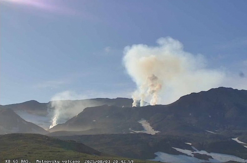 Камчатский филиал ФГБУН ФИЦ "Единая геофизическая служба Российской академии наук"