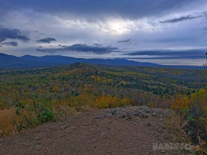    Фото:Екатерина Подпенко