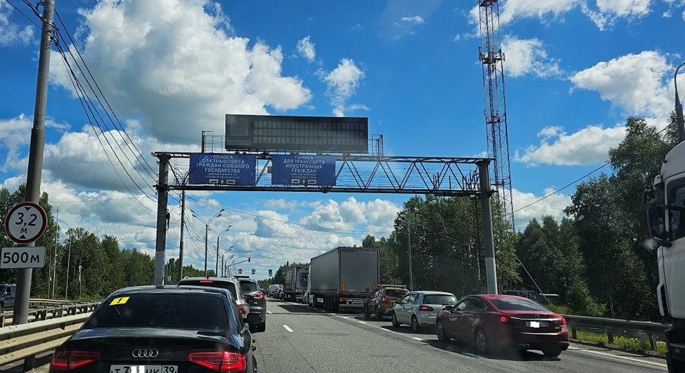 Все фото в статье автора