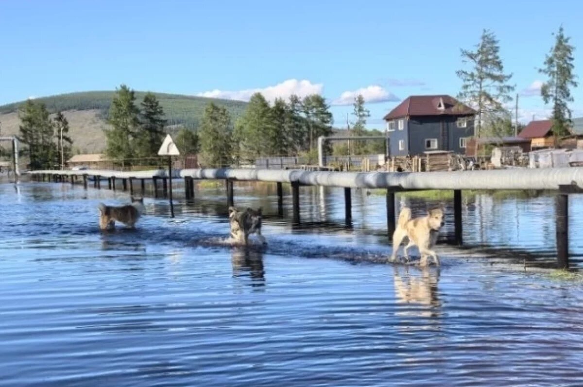    Забайкальцам выплатят компенсации за летние паводки