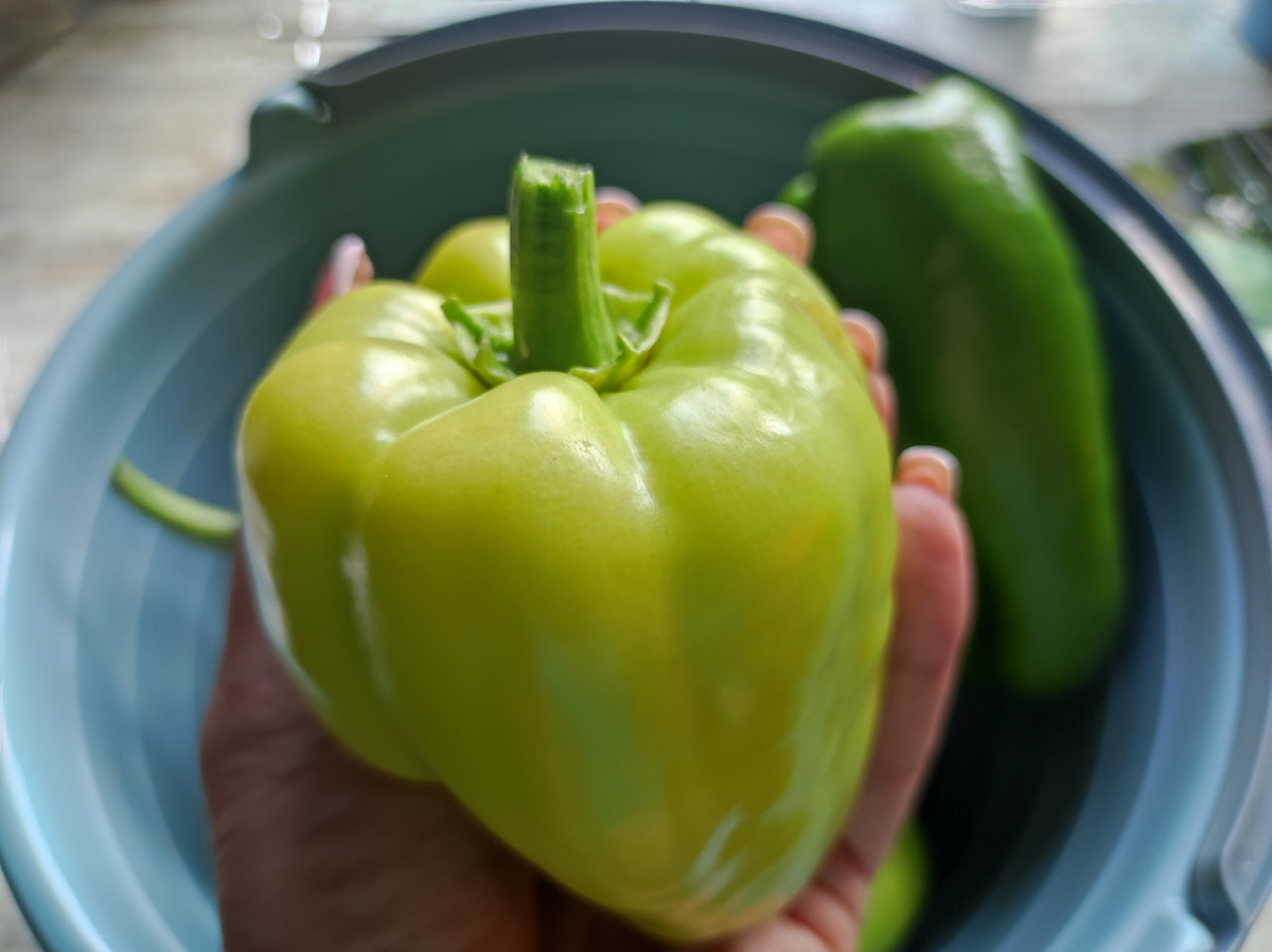 Фото автора, сладкий перец, выращенный из семян агропроизводителя Григорьев, сорт Рамиро, июль 2025 года