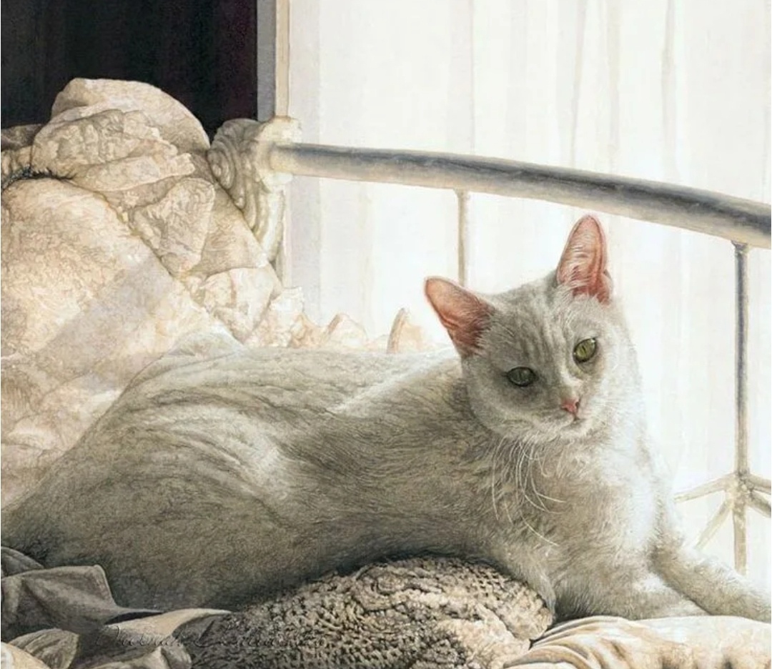 Белое на белом. Художница Сью Эллен Росс