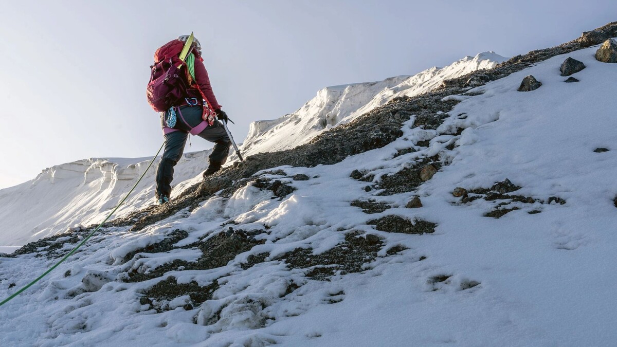    Фото: Juan Jose Escobar Gil / Shutterstock / Fotodom